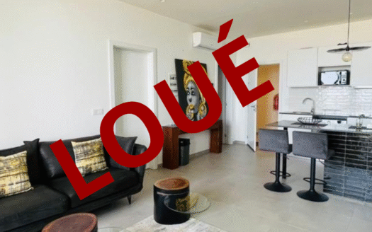 Appartement F2- Résidence Business Fann